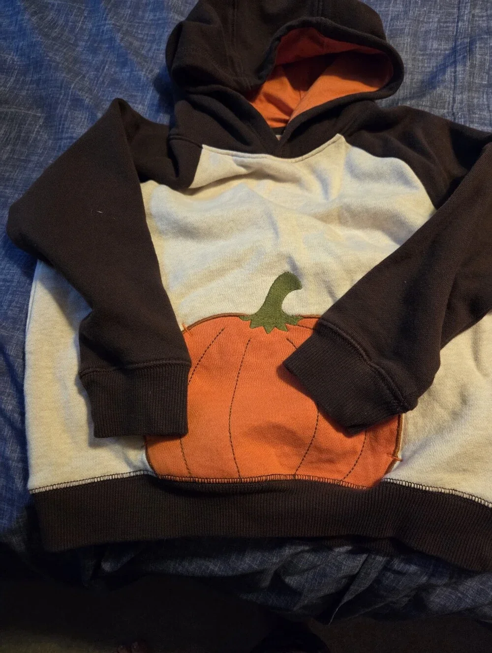 Toddler Boy Halloween/Fall Bundle